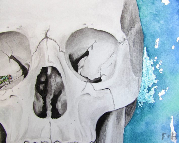 Gorgeous Watercolor Skull Painting on Turquoise - Fox + Hazel