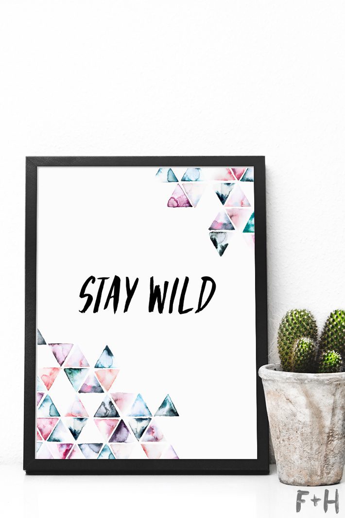stay wild trianglea rt print in black frame