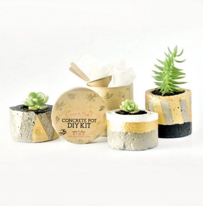 DIY-Kits-for-Creative-People---concrete-plant-pot