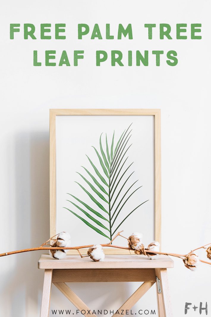 palm leaf prints with pink backgrounds in wood frames