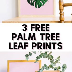 palm leaf prints with pink backgrounds in wood frames