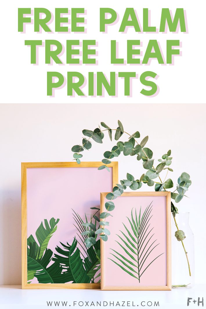 3 Free Palm Tree Leaf Prints in Pink & White