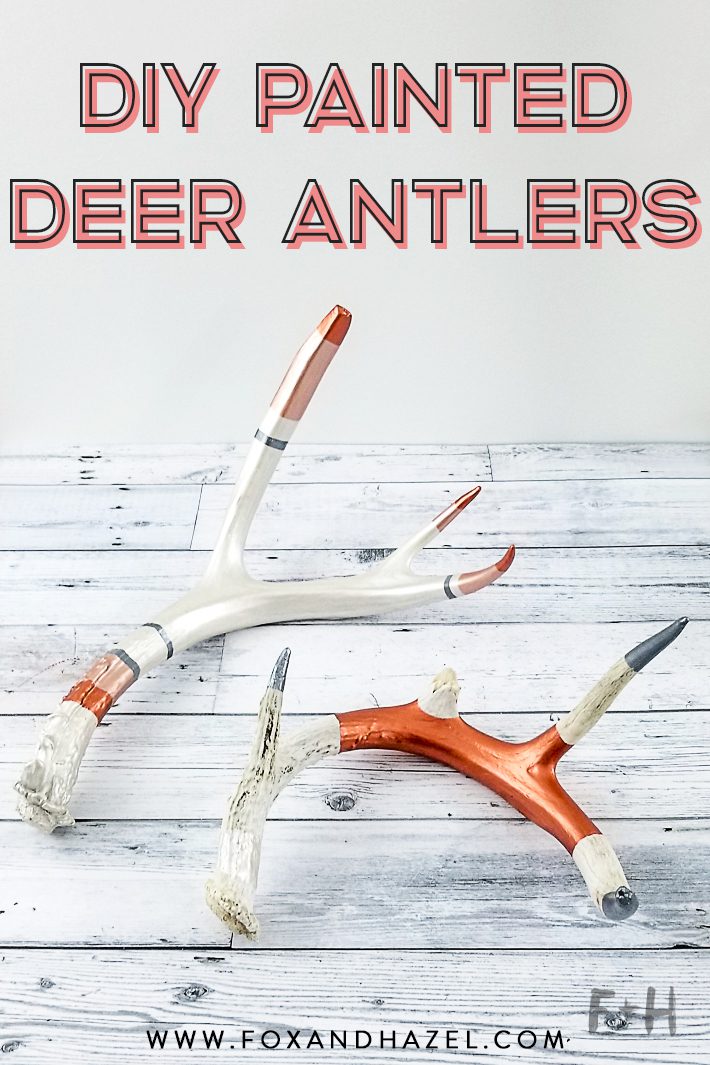 Deer Antler Artwork