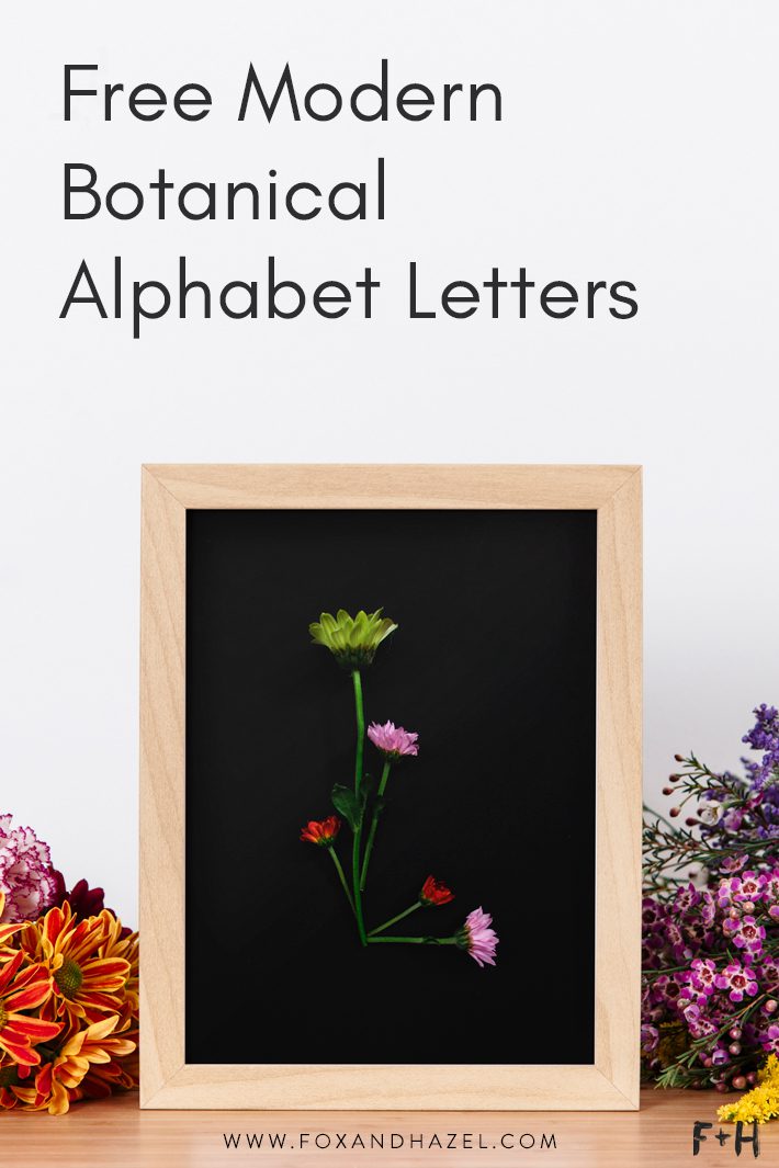 Free Modern Botanical Prints - Fox + Hazel 1