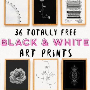 gallery wall of black and white art prints